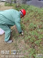 微信图片_20241127144303