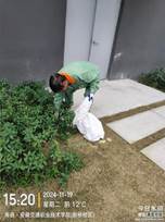 微信图片_20241127144256