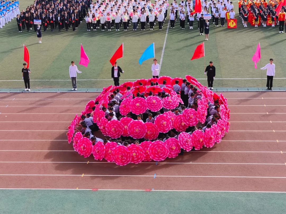 图片 图片