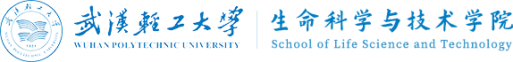3003新葡的京集团